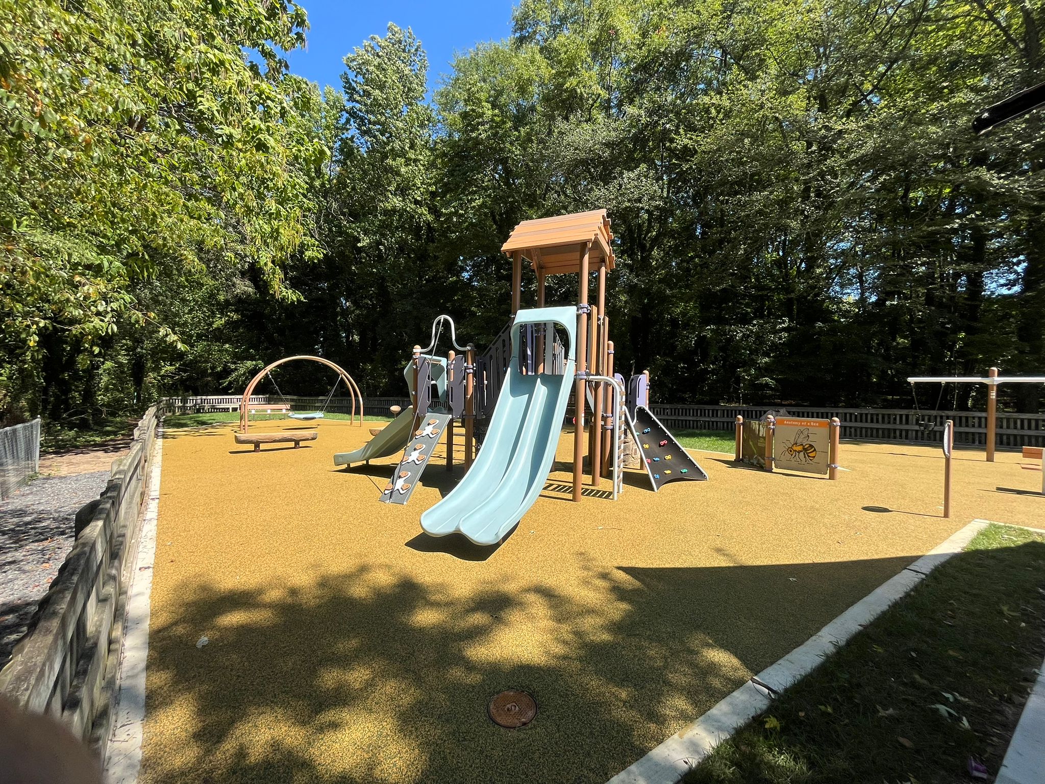 PIP Project